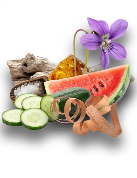 Kindling Clean Fragrance - Clean Fragrances